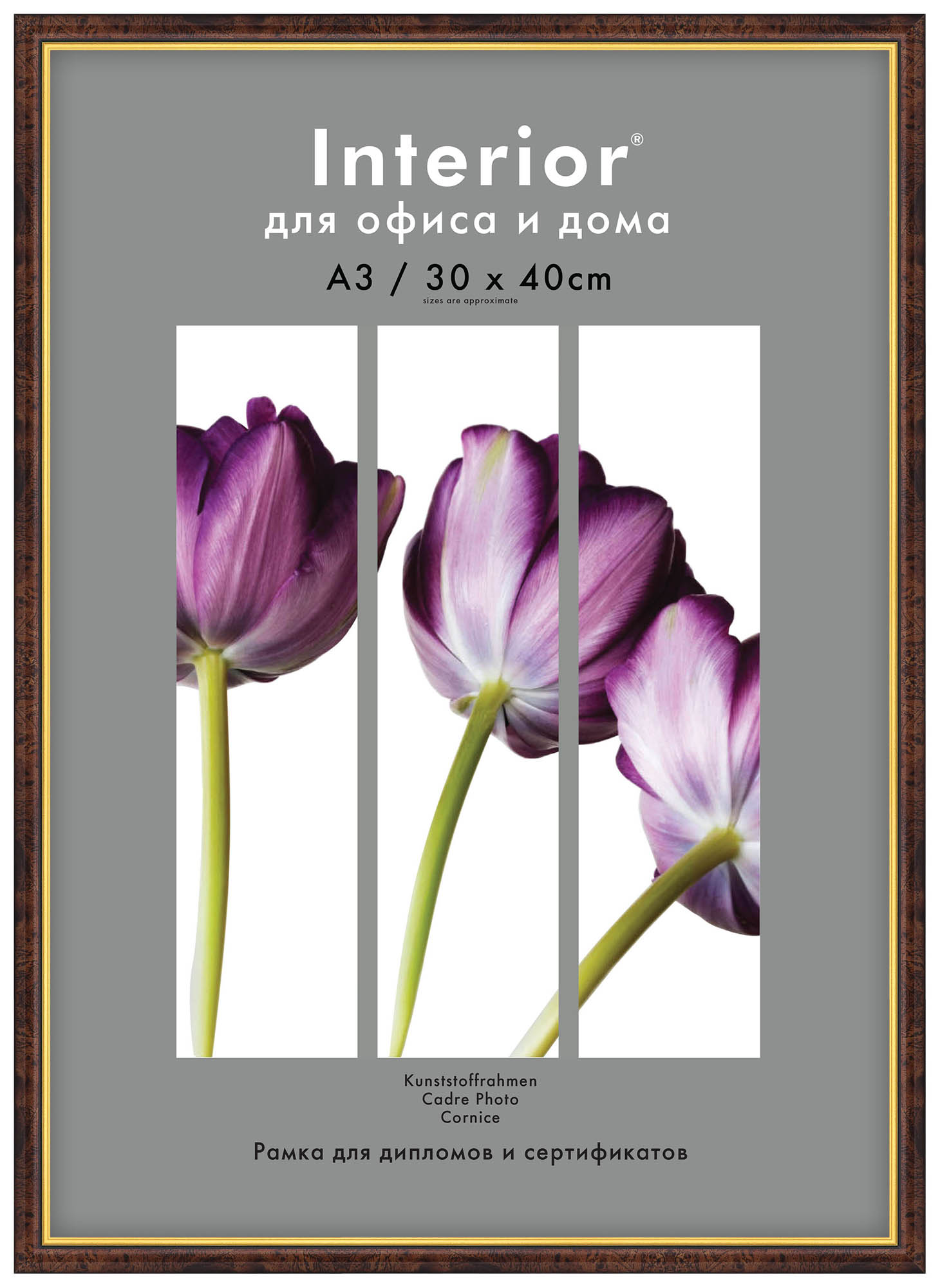 Interior Office 582 30*40 темный орех (20 шт.)