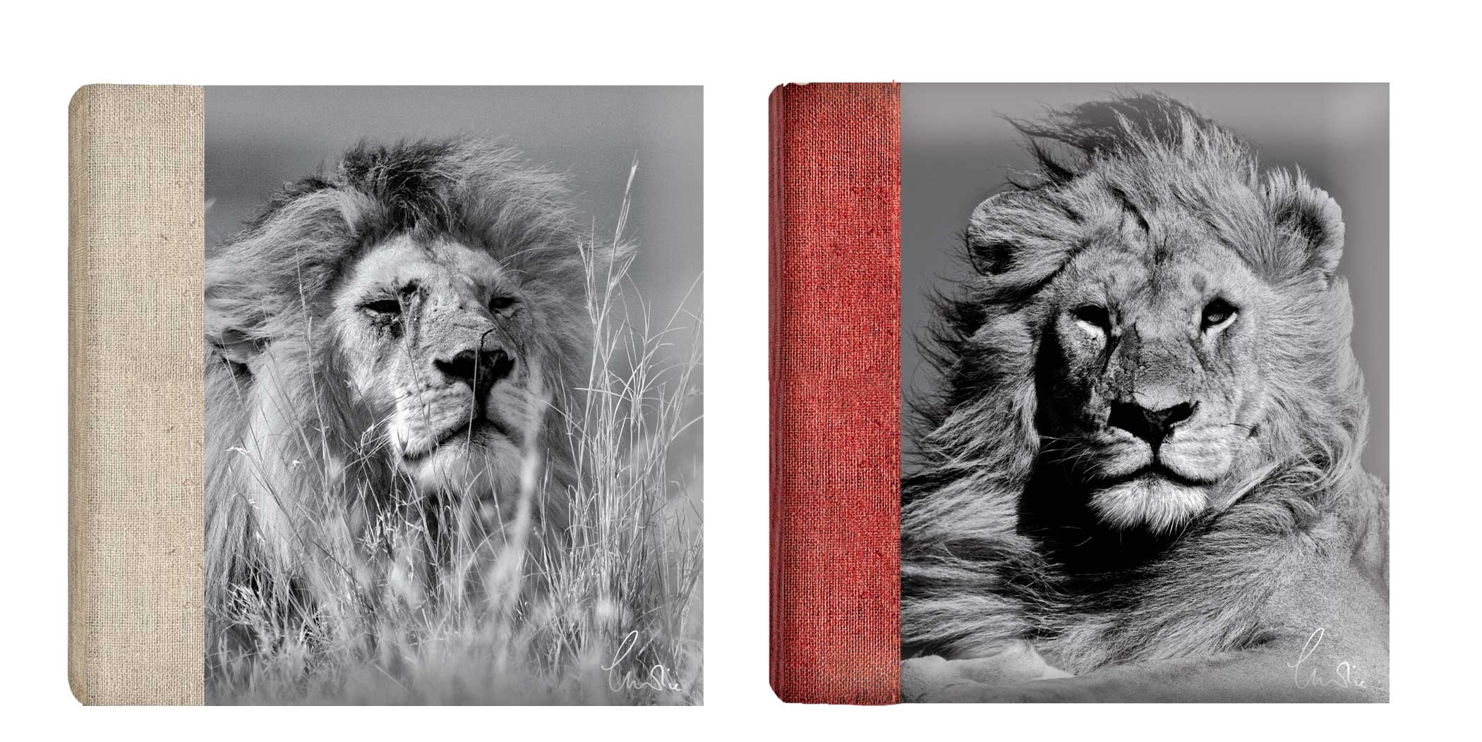 Q3005287 Ф/альбом 100 фото 10*15 Wild Life BB Memo (12)