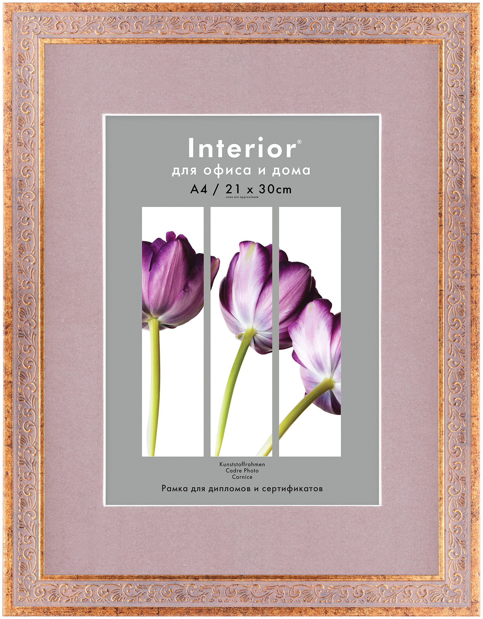 ORNATE 30*40 c паспарту 21*30 Louisiana Bronze (14)