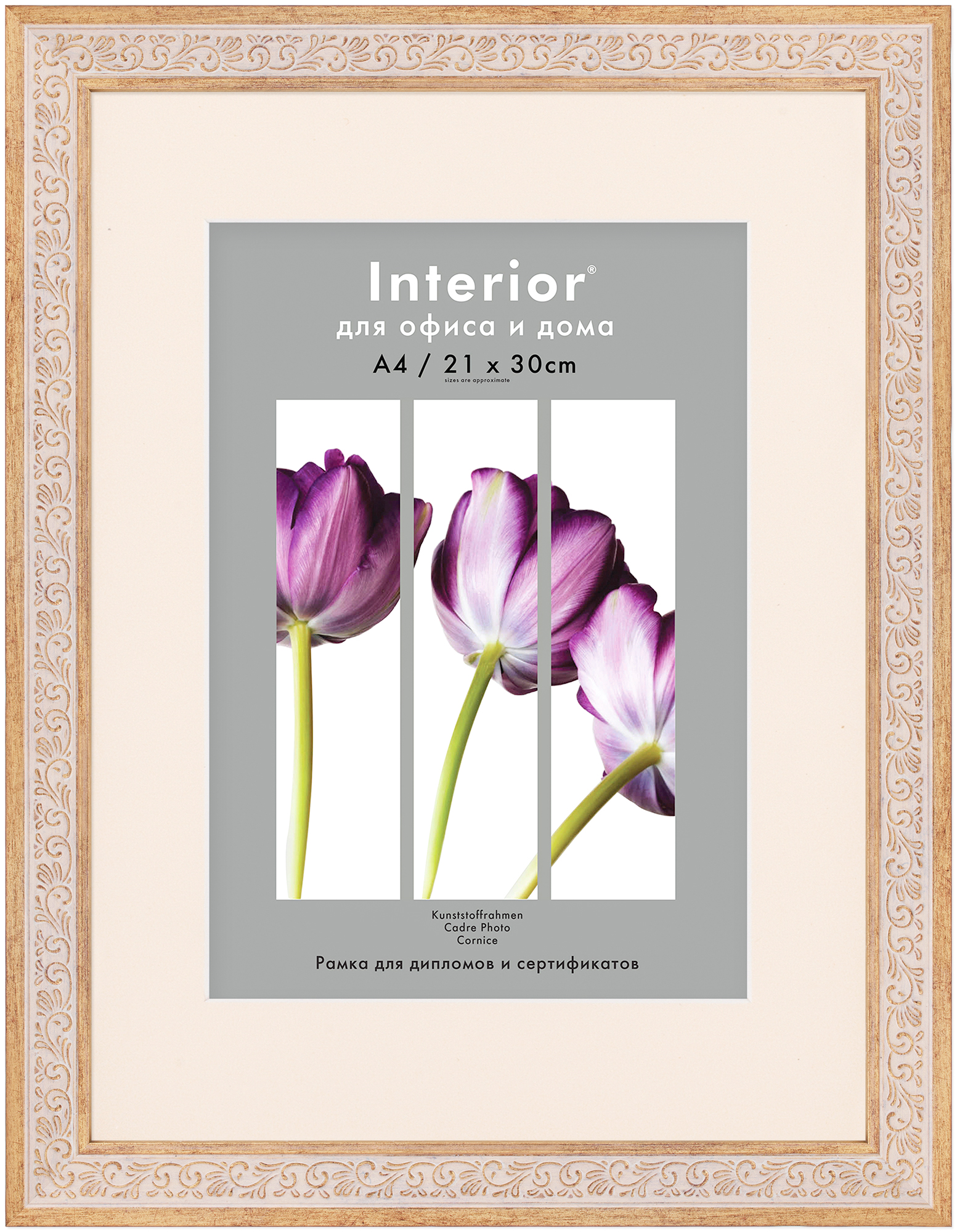 ORNATE 30*40 c паспарту 21*30 Louisiana Gold (14)