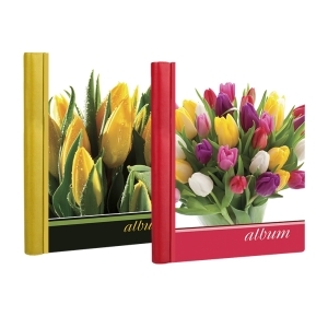 SA-20-Р/23*28 серия 5 цветы (12/576)