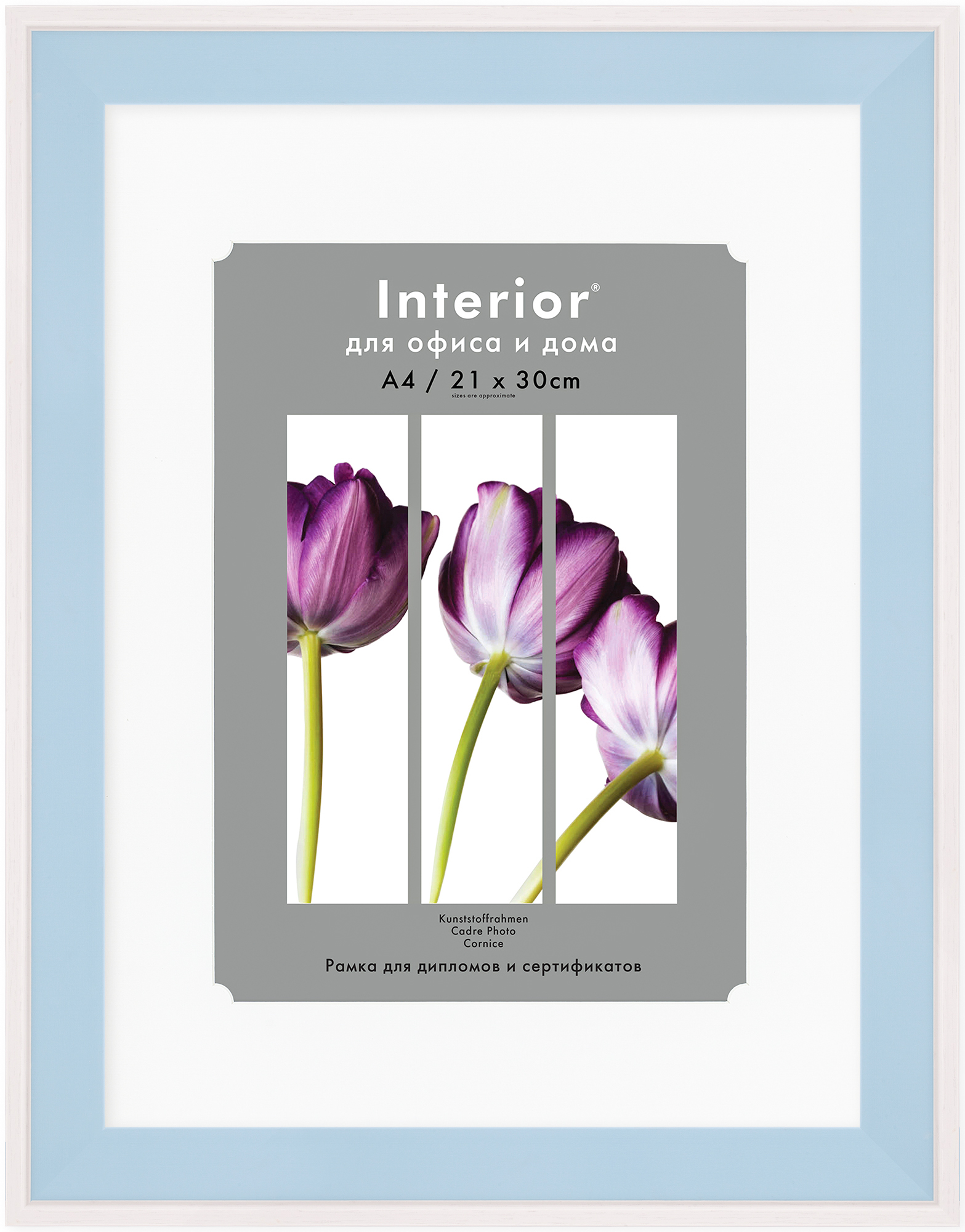 Ф/рамка Interior Baby 501 30*40 с паспарту 21*30 Blue