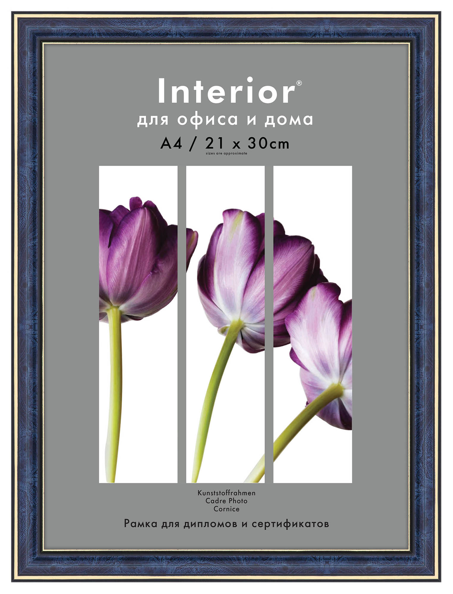 Interior Office 284 21х30 бирюза (23 шт.)