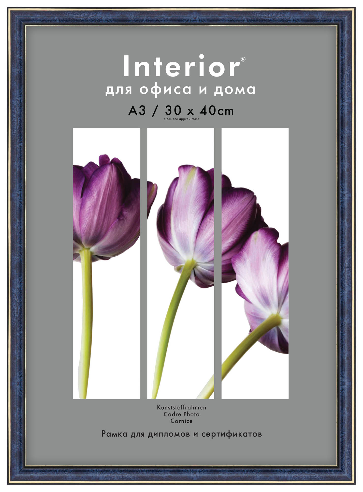 Interior Office 284 30х40 бирюза (22 шт.)