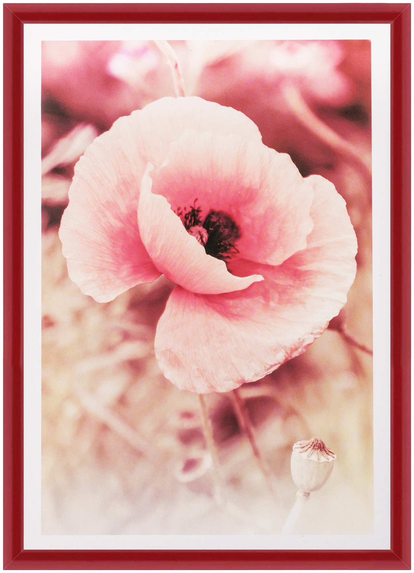 Фоторамка 21Х29,7 poster red 8547 (36)