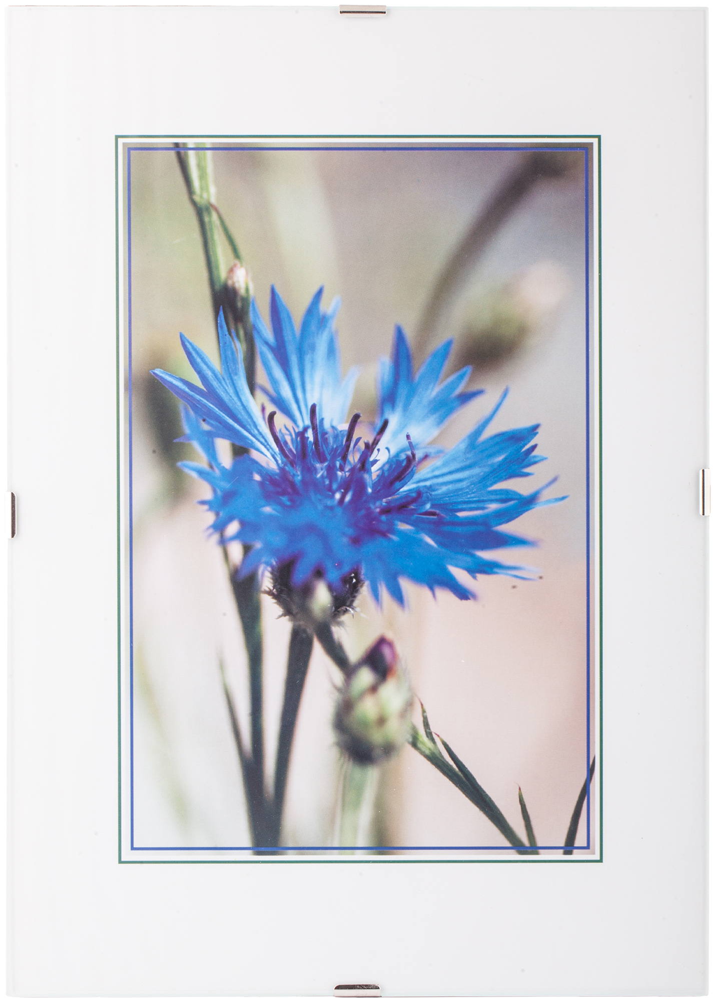 Ф/рамка CP-03А, стекло антиблик 21*30 клип (12/36)