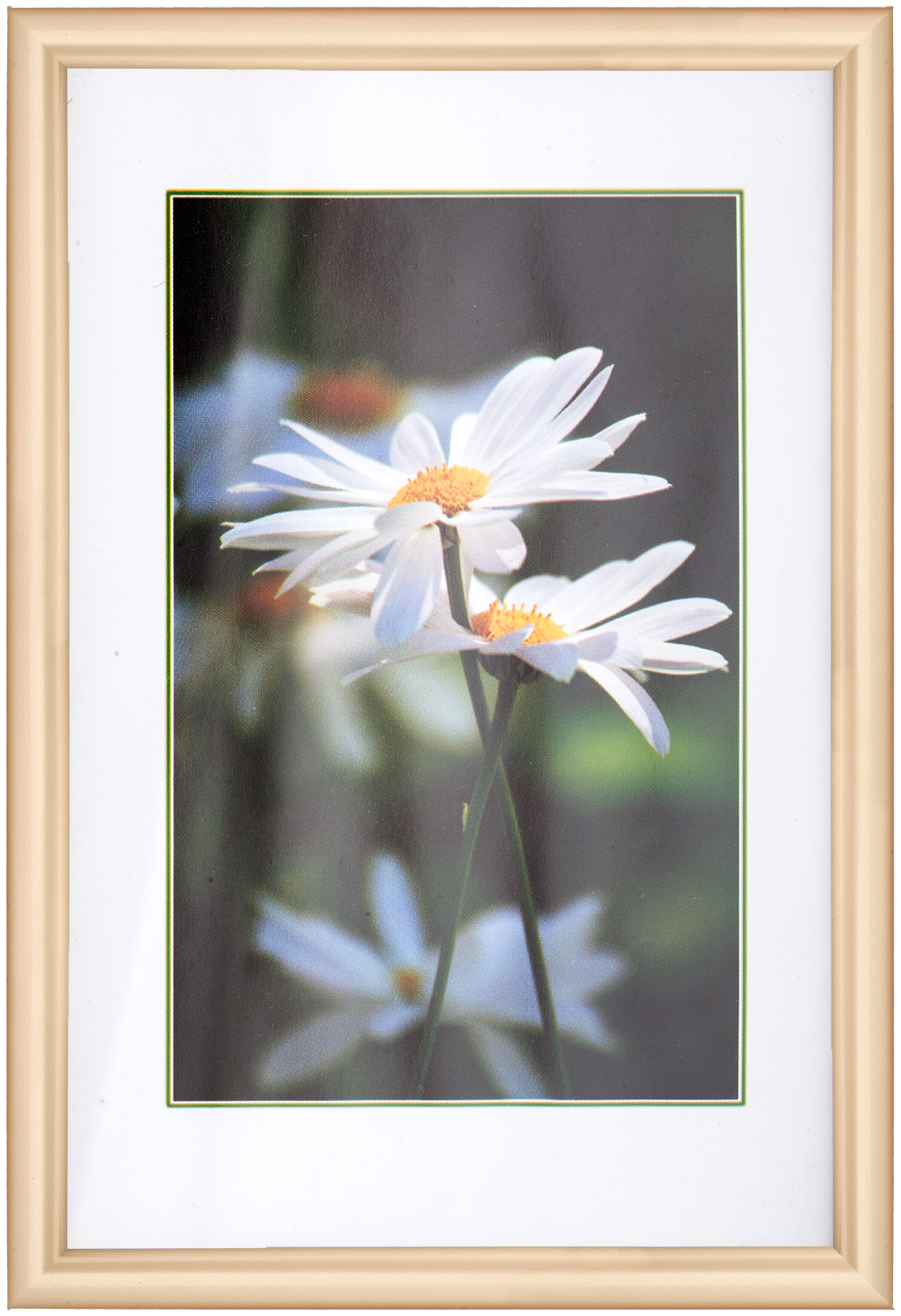 Фоторамка BD-5, пластик 10*15 Золото (12/120)