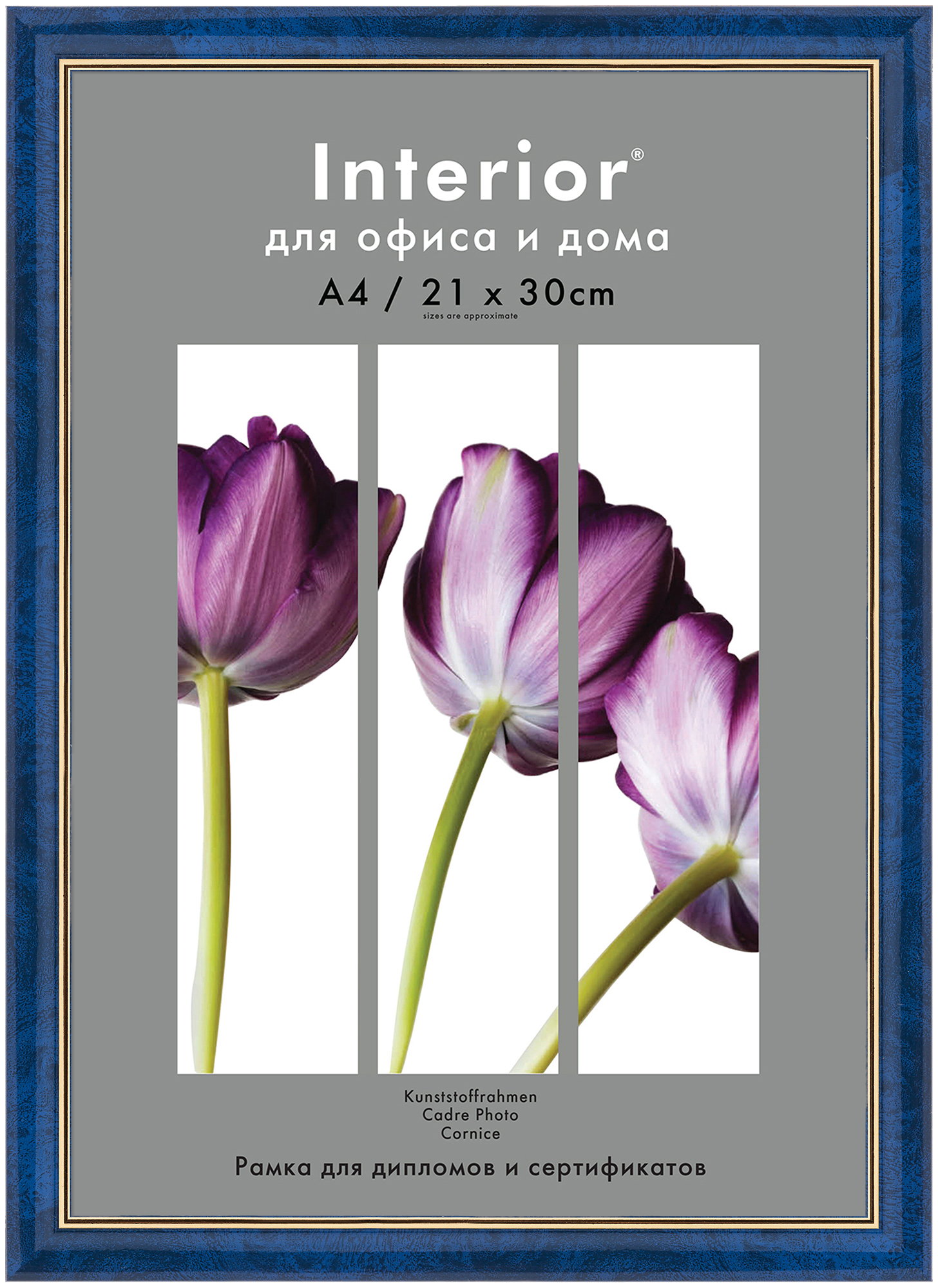 Interior Office 884 21*30 бирюза (26)