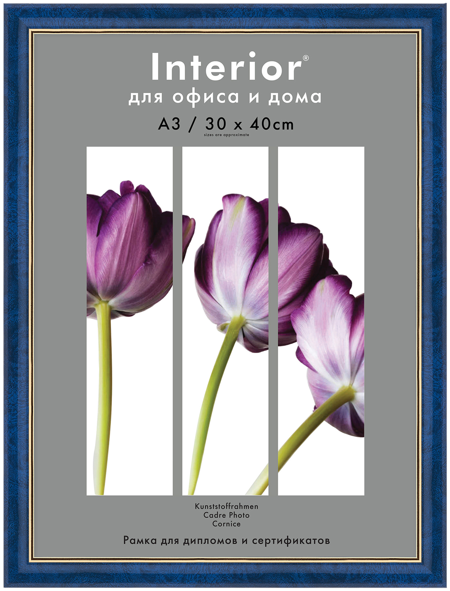 Interior Office 884 30*40 бирюза (26)