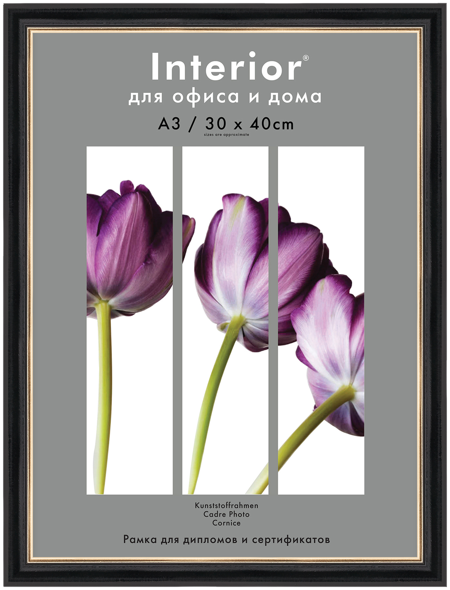 Interior Office 889 30*40 черный (26)