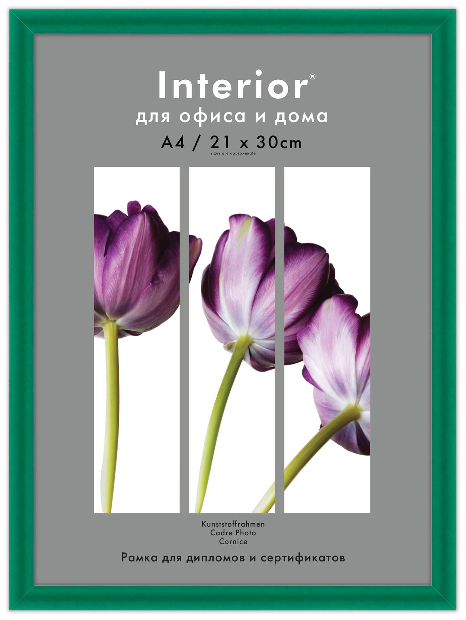 Interior Arte 9C-6 21*30 зеленый (24 шт)