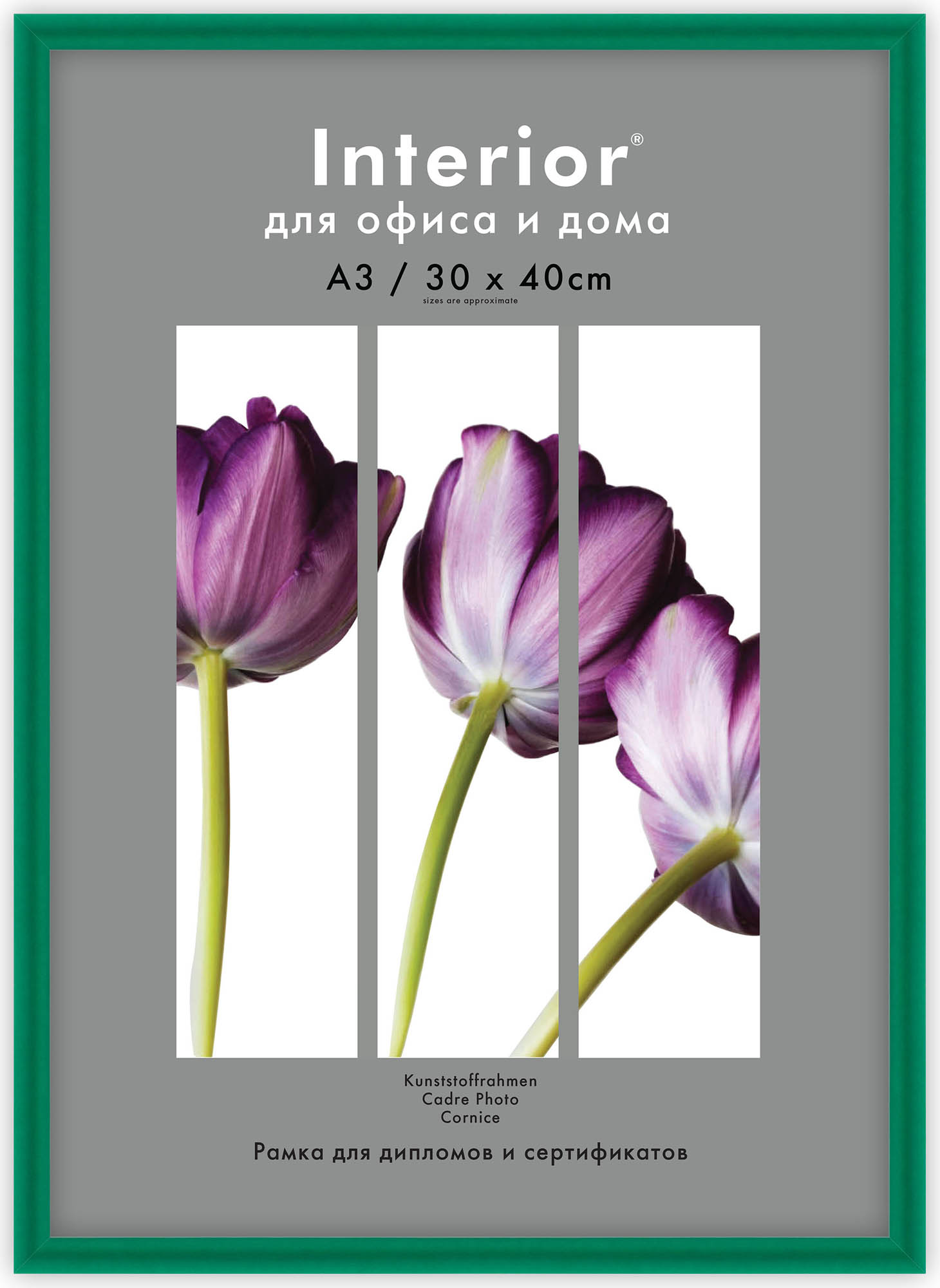 Interior Arte 9C-7 30*40 зеленый (24 шт)