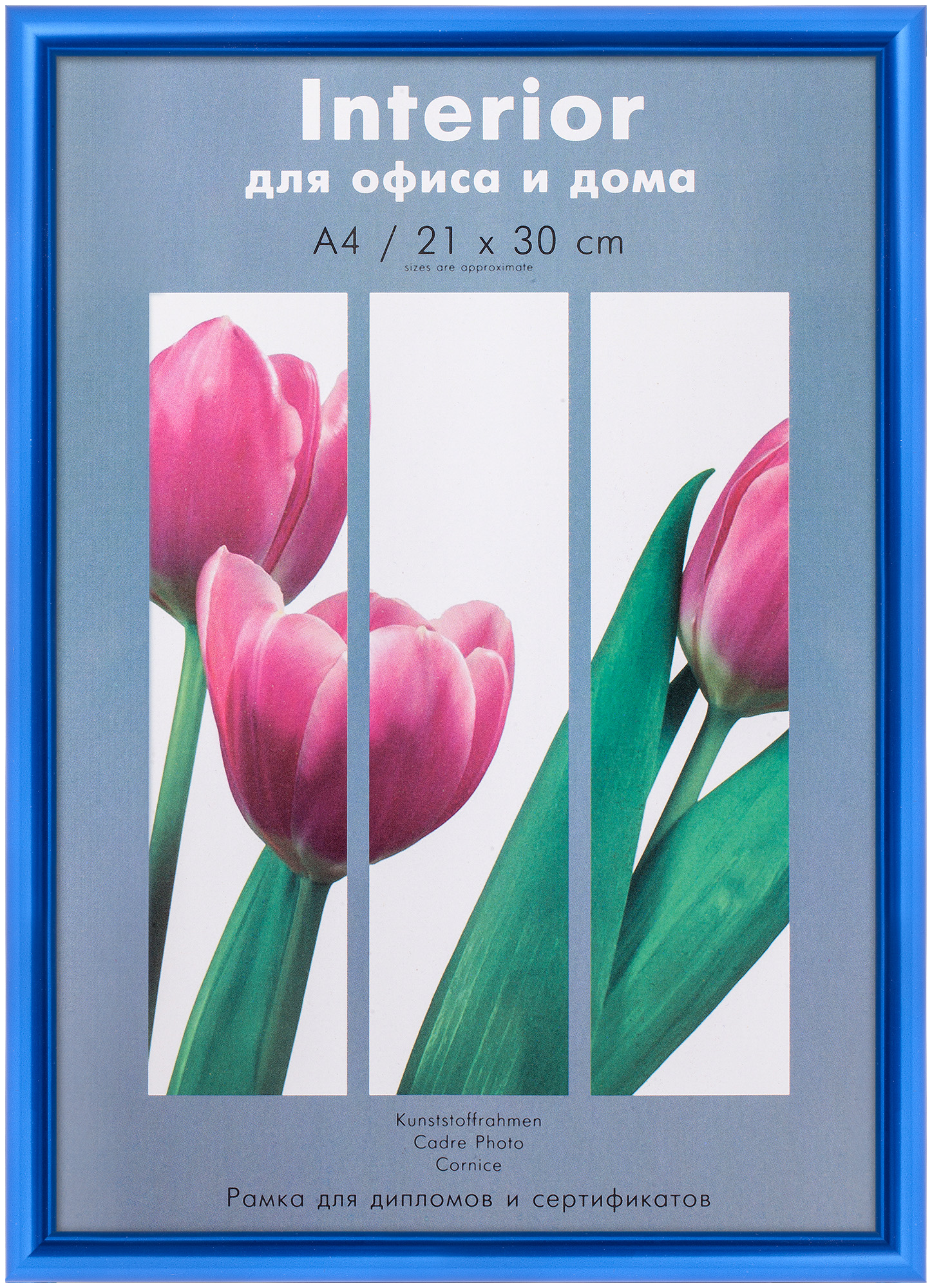 Светосила Радуга пластик 21x30 (A4) Синий металлик, с пластиком (25)