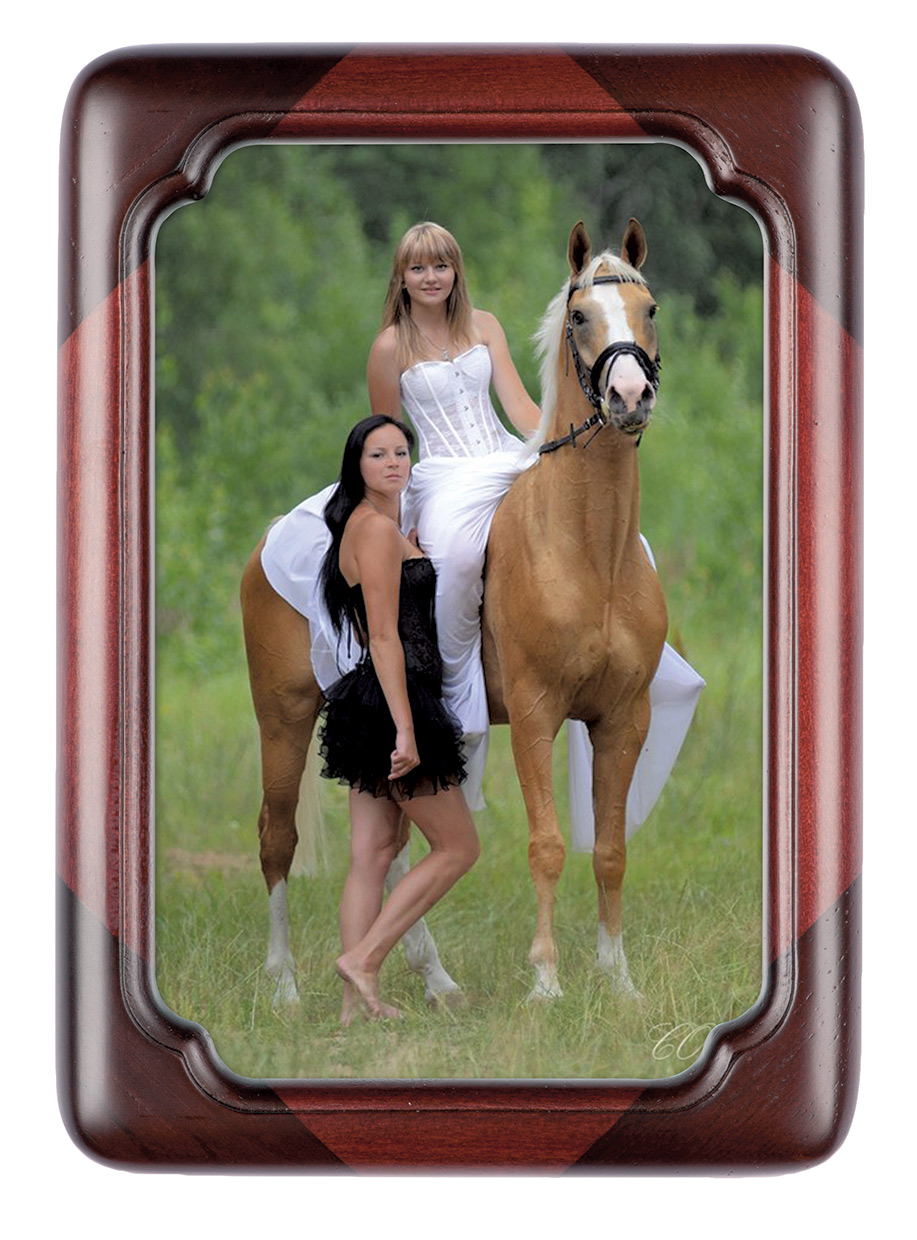 Hofmann 908 дерево 10х15