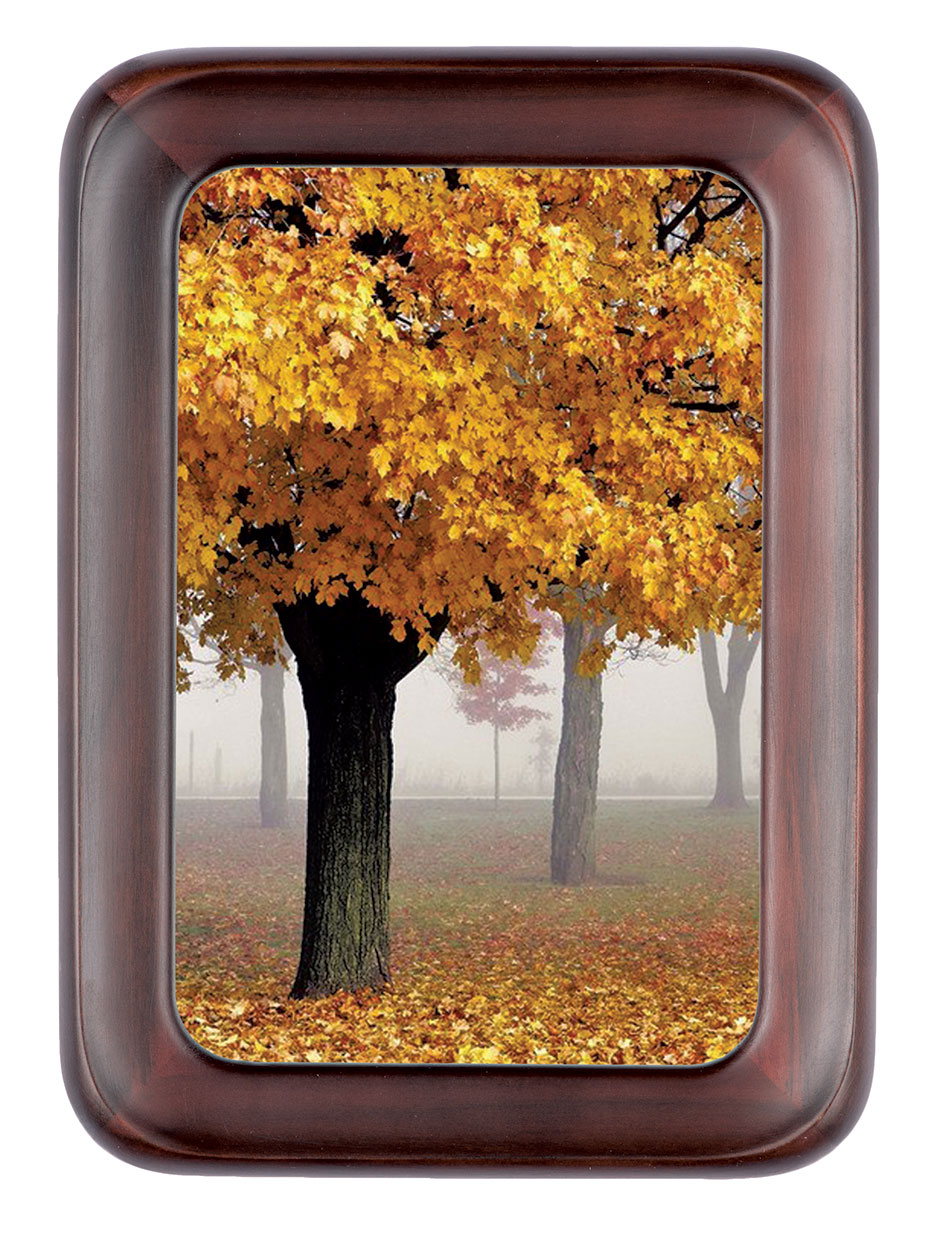 Hofmann 909 дерево 10х15