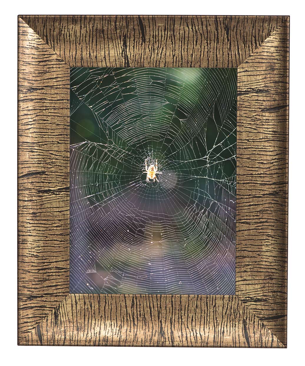 Hofmann 18-O пластик 15х20 широкий багет