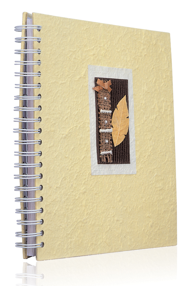 Hofmann 1426 на 40 страниц 24х25 см (раз. альбома 28х26) Классика (12)