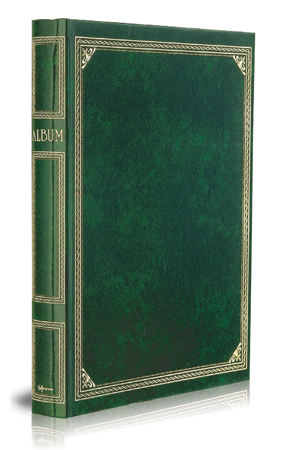 Hofmann 2130 на 10 магн. листов с разъемными кольцами 31мм. (11)