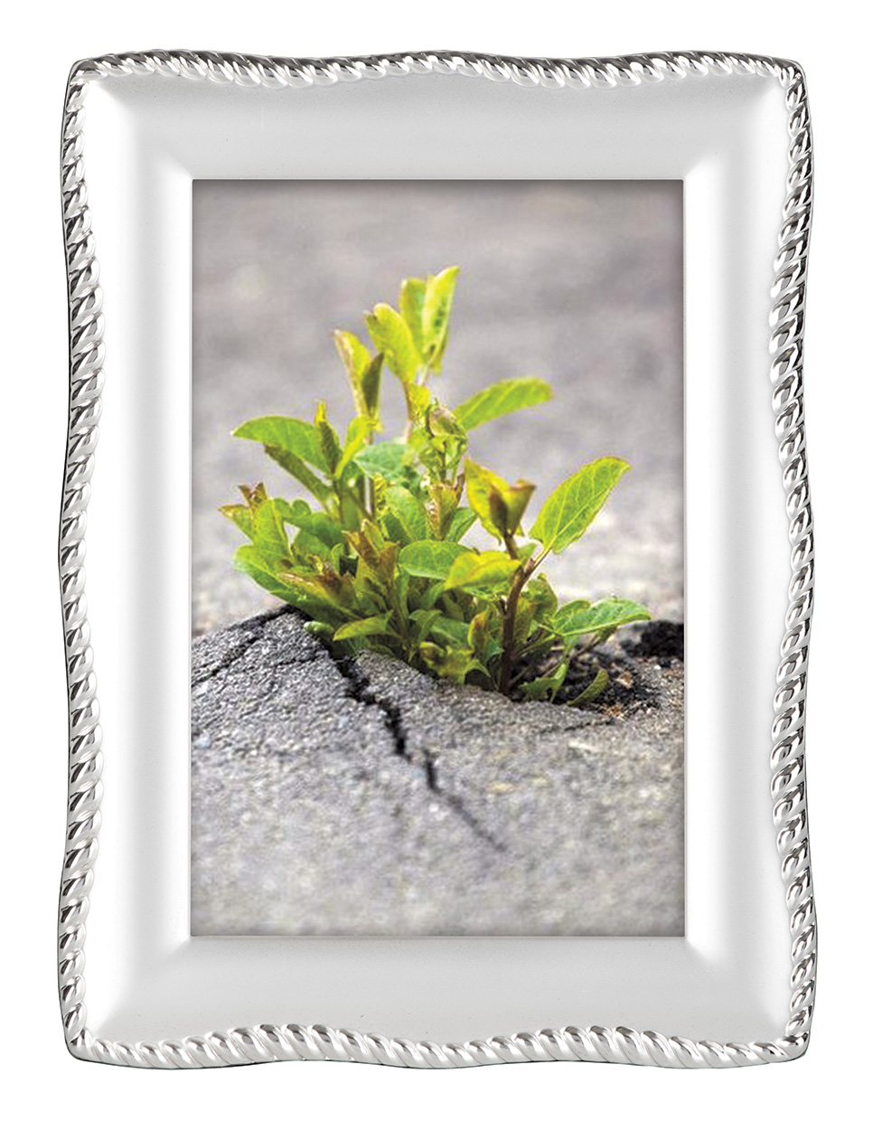 Hofmann 327 металл 13х18