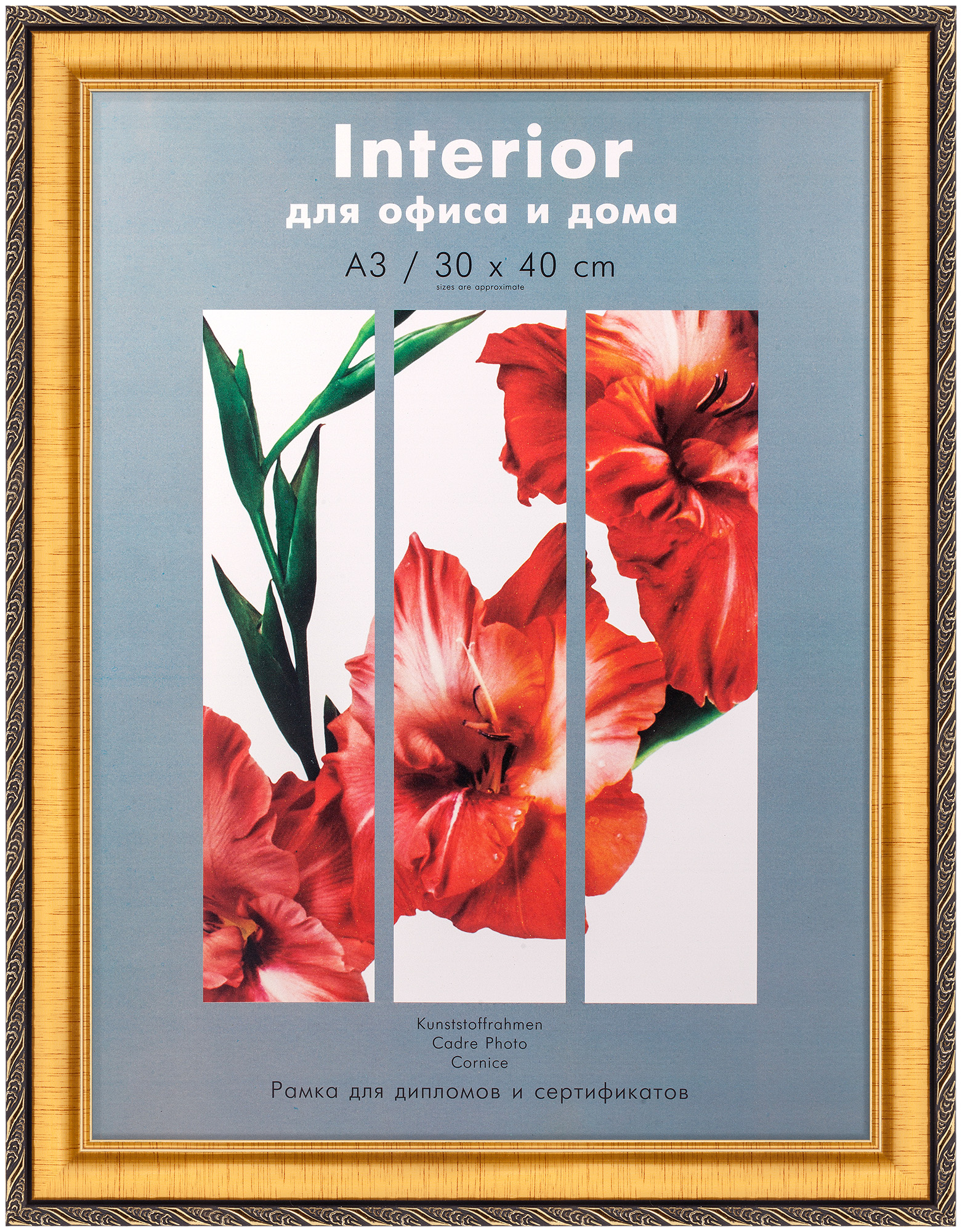 Interior 346G-12 30x40 пластик, золото с зол. кантом (18)