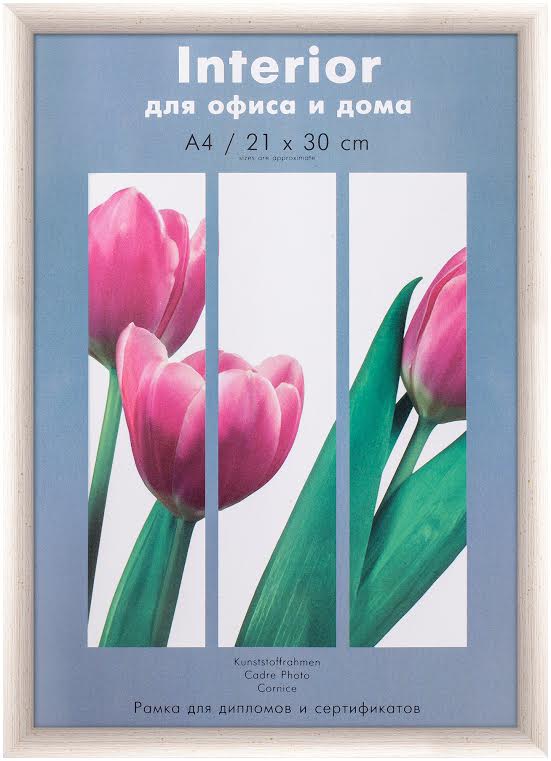 Светосила Радуга пластик 21x30 (A4) Береза, с пластиком (25)