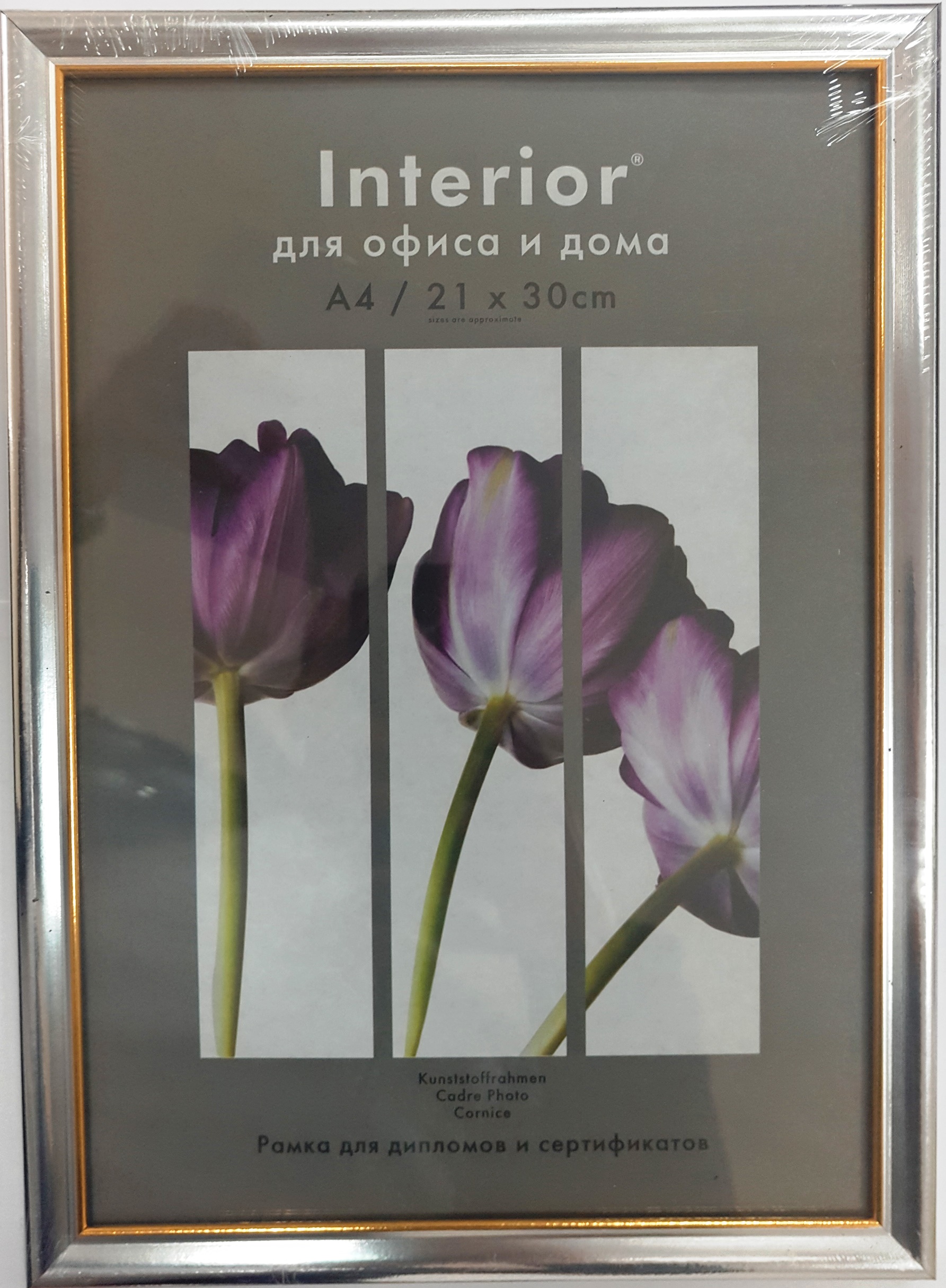 Interior Office 890 21*30 серебро (26)