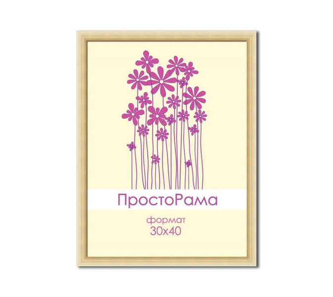 ПростоРама