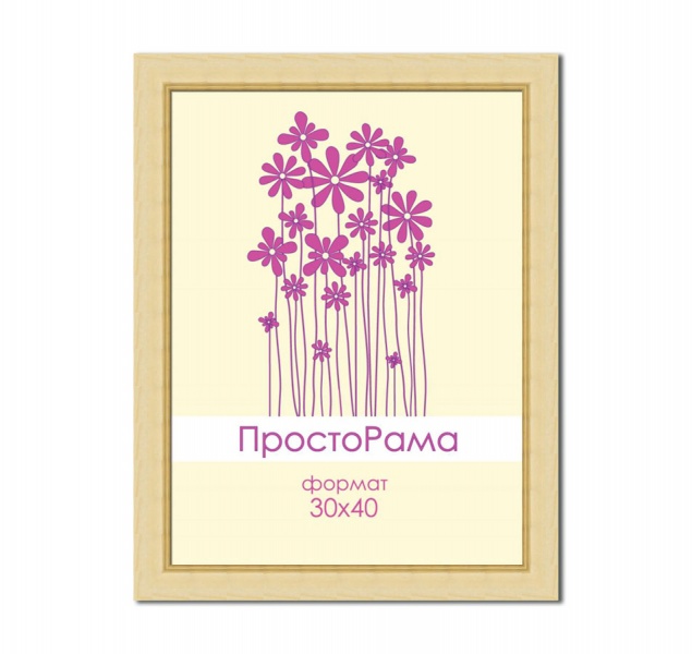 ПростоРама 513000-15 дерево 30x40 (12)