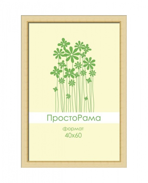 ПростоРама 513000-17 дерево 40x60 (12)