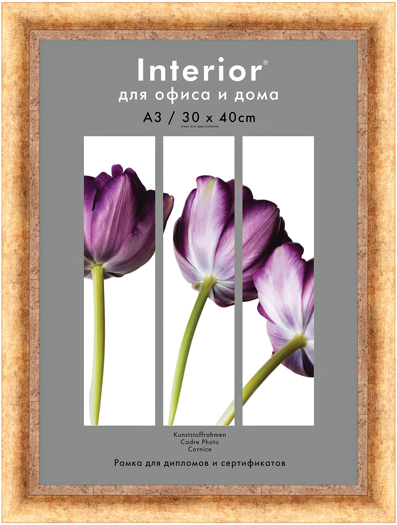 Interior 370G-12 30x40 пластик, состаренное золото (18)