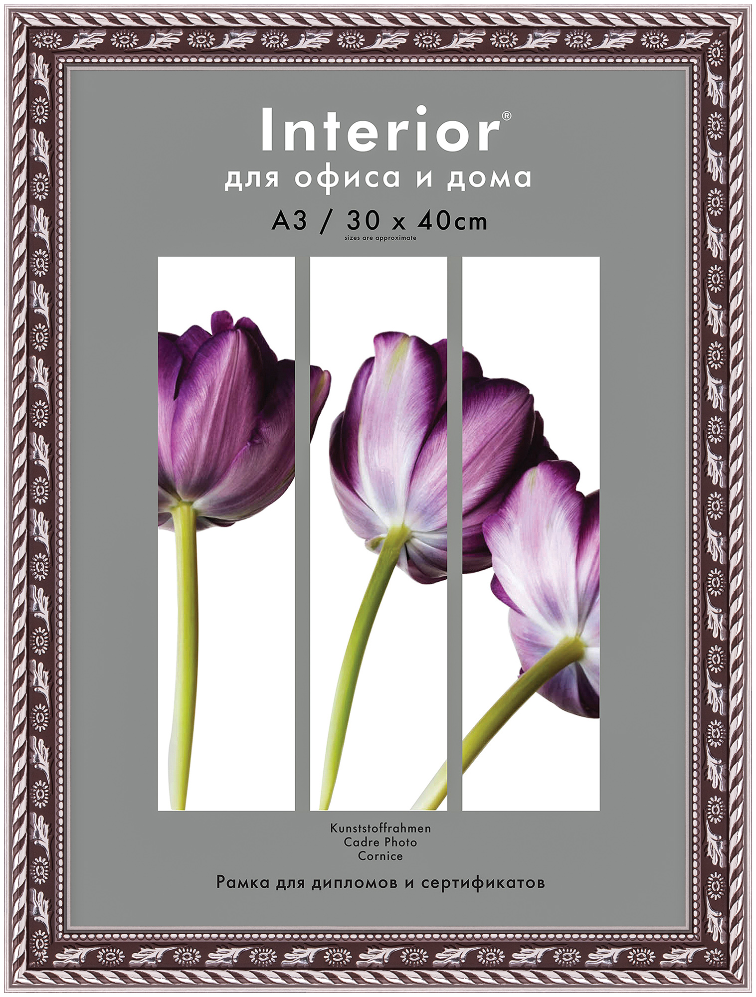 Interior 373G-12 30x40 пластик, серебро, серебряный кант и вязь (16)