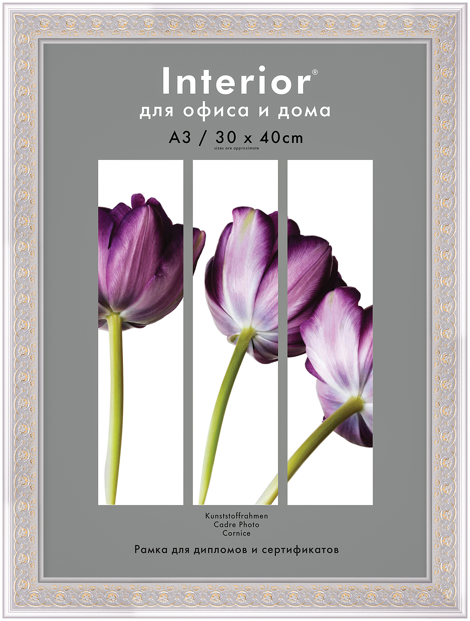 Interior 374G-12 30x40 пластик, серебро, золотые розы (17)