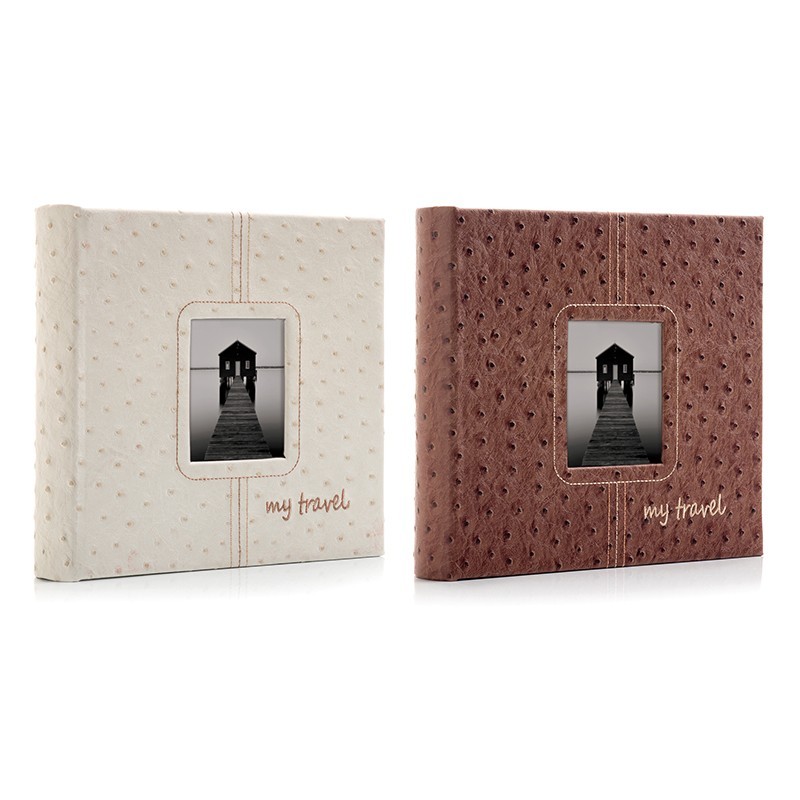 Hofmann 1888 на 200 фото 10x15 кармашки (2 color)