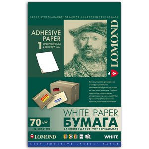 2100005 Lomond наклейка A4/50 (27)