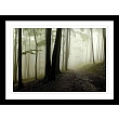 60x80cm Misty forest FP0888