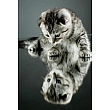 FP02828 Glass Art Kitten Reflection 40x60cm (6)